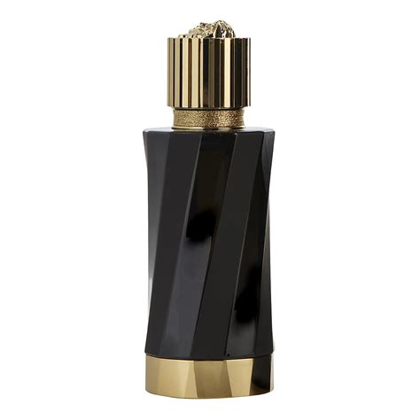 santal boisé versace|atelier Versace eau Boise.